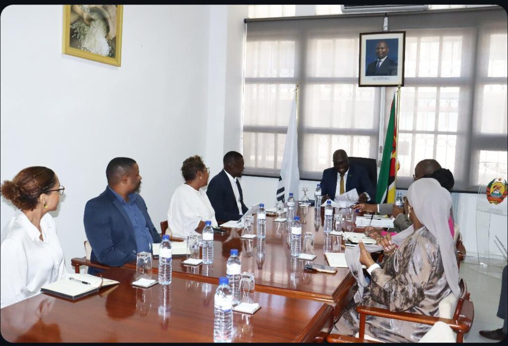 ICM, IP e Standard Bank Alinham Procedimentos para Novo Mecanismo de Importação de Arroz e Trigo